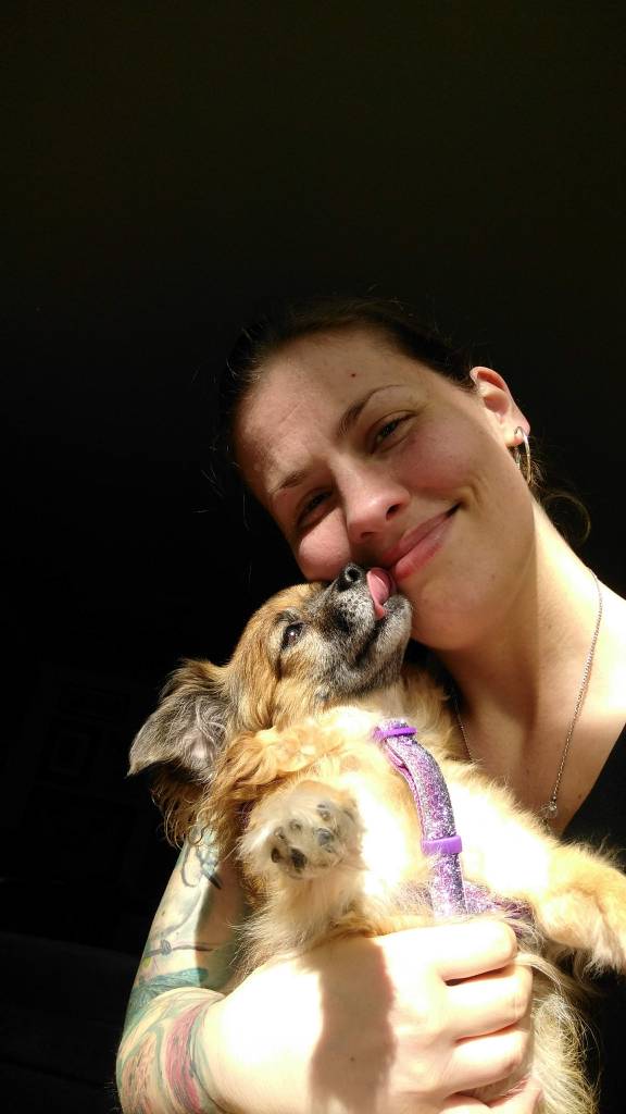 cute dog giving kisses