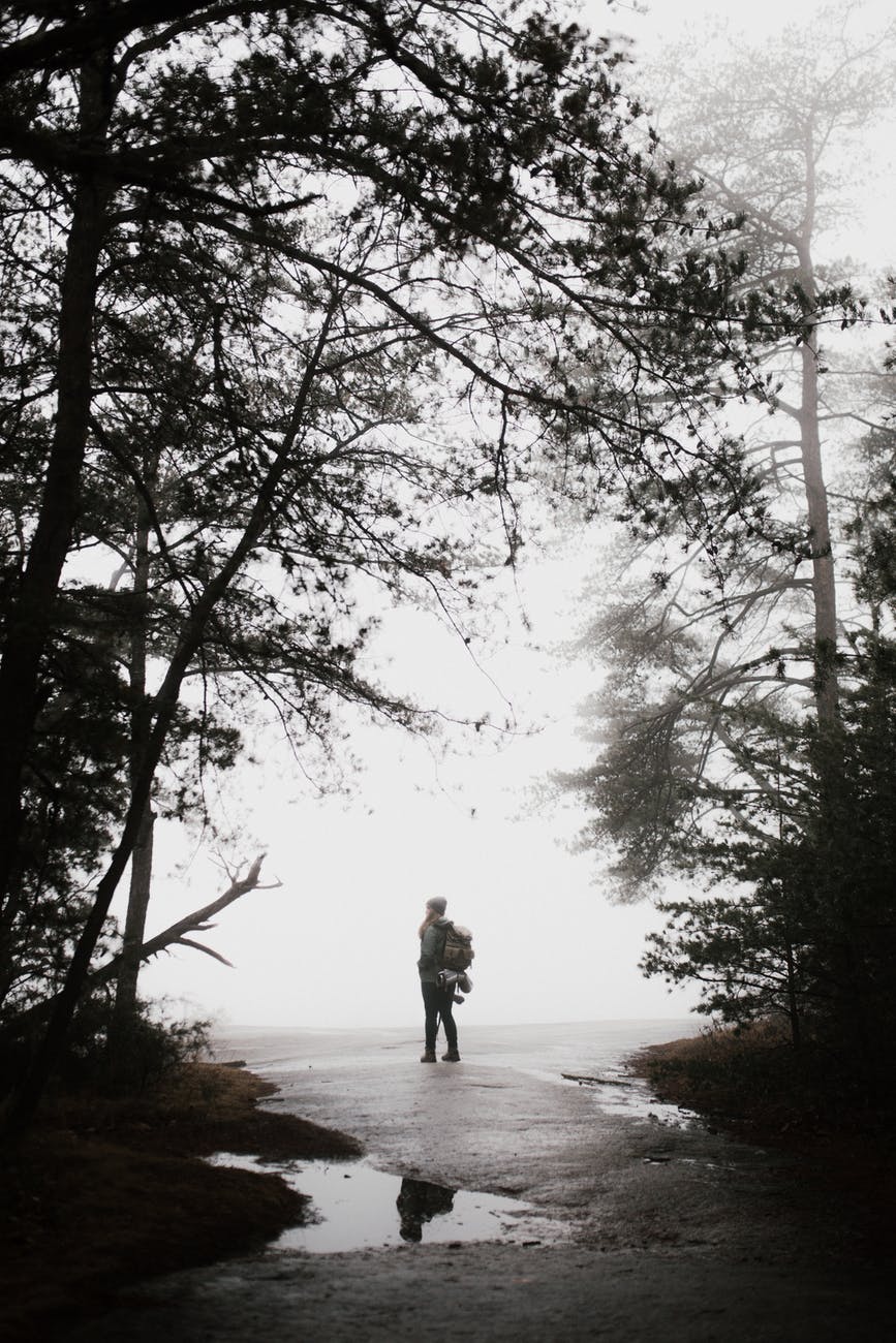 Black and white image of person searching in the woods